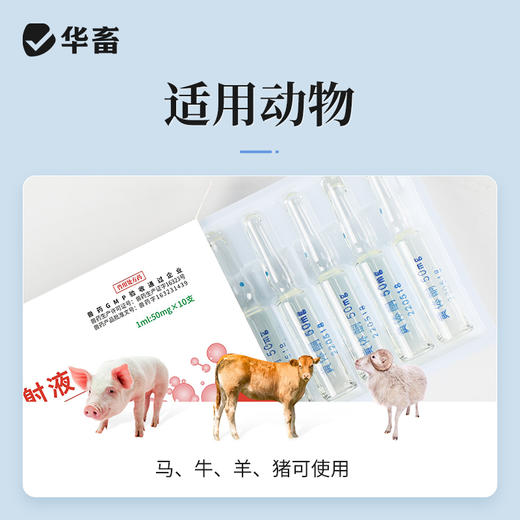 华畜 黄体酮注射液10支 性激素类药 用于预防流产 安胎保胎 抑制发情排卵 马牛羊猪用 商品图2