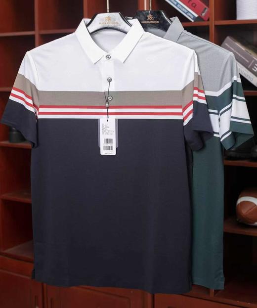 占姆士短袖POLO衫男士夏季新款翻领T恤休闲青年上衣条纹 商品图6