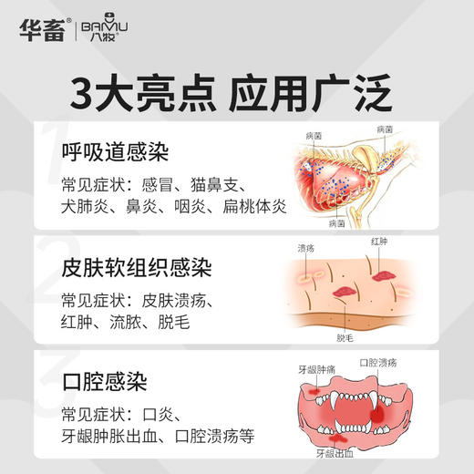 华畜狗狗猫咪感冒药打喷嚏流鼻涕猫鼻支治疗专用消炎药阿莫西林片 商品图3