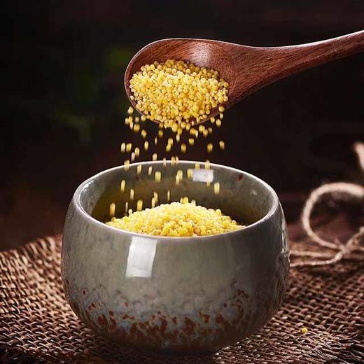 静宁县占斌黄谷米500g*2袋 商品图3