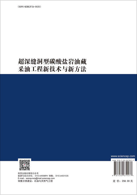 超深缝洞型碳酸盐岩油藏采油工程新技术与新方法 商品图1