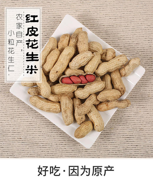 鑫勇泰  优选红皮花生（带壳）  1.5KG 商品图2