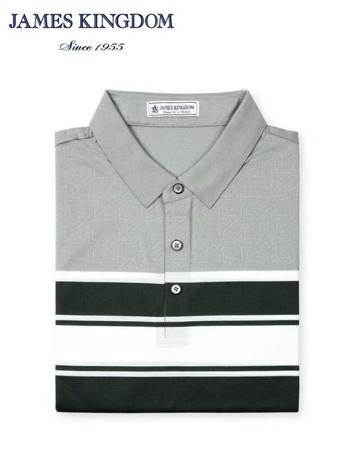 占姆士短袖POLO衫男士夏季新款翻领T恤休闲青年上衣条纹 商品图3