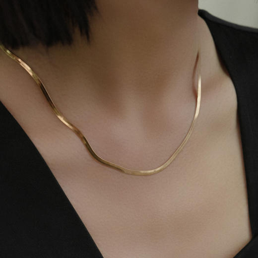 Retro Chic 意大利复古创意饰品  复古蛇骨链 商品图2