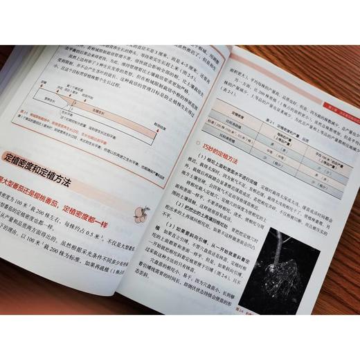官网 番茄栽培管理手册 白木己岁 番茄栽培宝典 番茄栽培 栽培技术书籍 商品图4