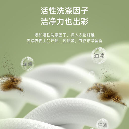 植护 除菌留香洗衣皂液2kg*3瓶 DT2071N3 商品图2