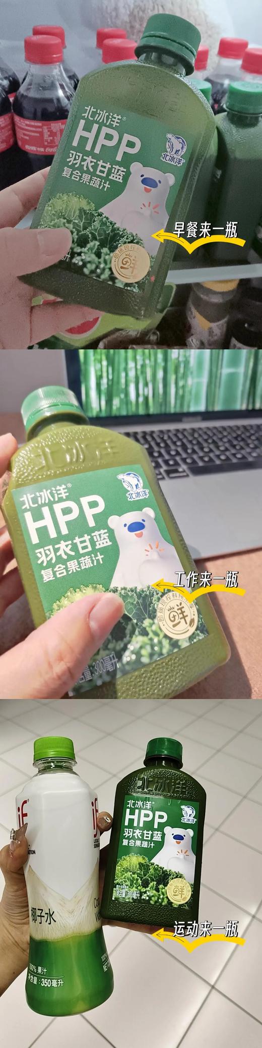 夏季福利团直发8瓶再赠一瓶桑葚汁，到手63.9，北冰洋NFC桑葚汁北冰洋HPP羽衣甘蓝复合果蔬汁 比NFC果汁多保留30%的维C基地直邮 商品图3