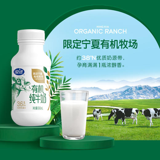 夏进瓶装有机纯牛奶（蛋白 3.6g）243ml×10瓶 商品图2