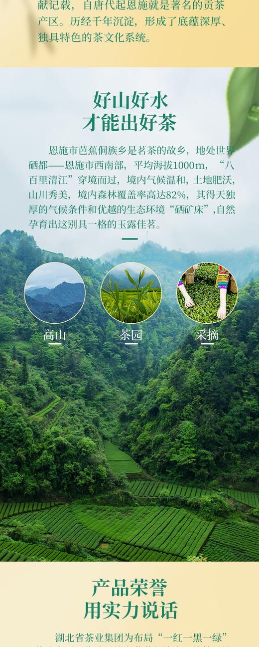 羽露 恩施玉露寻山绿茶硒茶特级  4g*30袋 商品图4