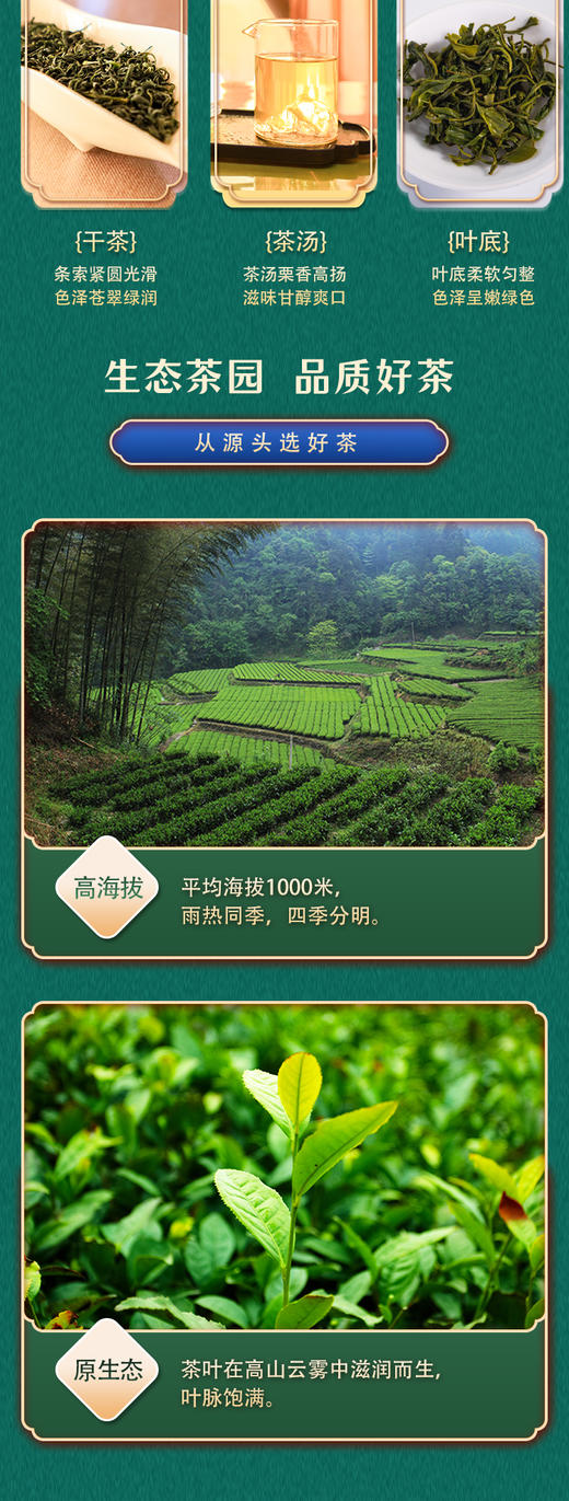 汉口茶厂 西兰卡普恩施绿茶硒茶 120g 商品图3