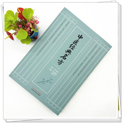 中医经典名方 何清湖 胡宗仁 主编 孙光荣 主审 中国中医药出版社 200个经典名方精华 中医经典临床 典型案例 书籍 商品图1