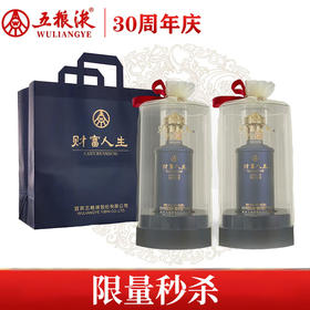 【好事成双】五粮液 财富人生 蓝韵 浓香型 52度 500ml x2