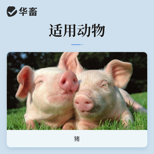 华畜10%盐酸多西环素注射液 支原体肺炎肠炎血虫病等 商品图2