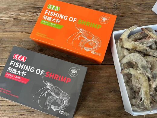 海捕大虾·2025 商品图1