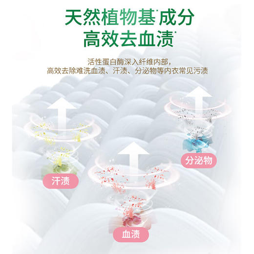 立白 好爸爸淡雅樱花内衣露450g*1瓶 BORMJ1P1 商品图3