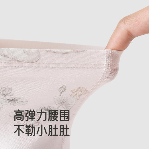 【商场同款】英氏儿童抗菌内裤四季女宝宝男童四角打底裤中大童 商品图3