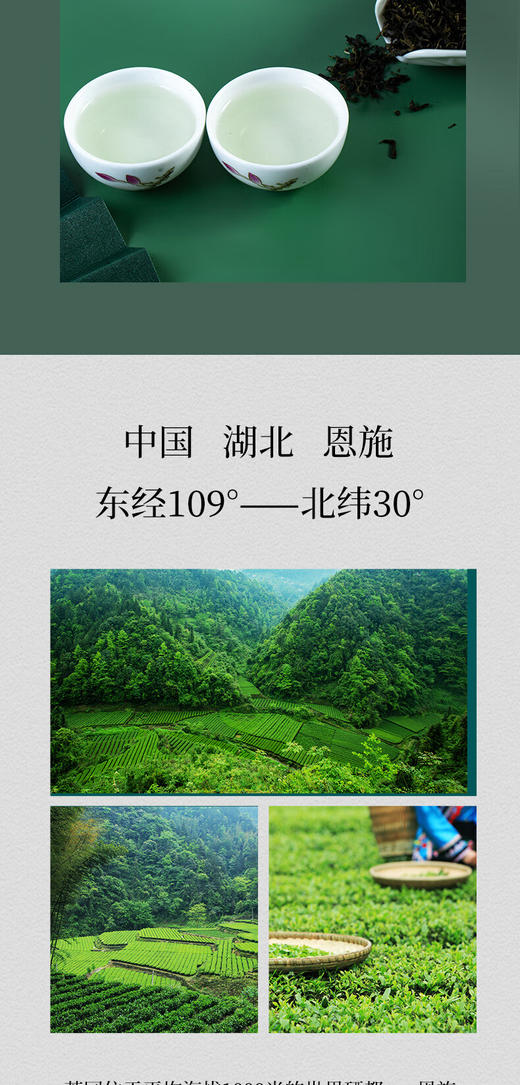 汉口茶厂 恩施绿茶经典硒茶特级 128g 商品图3