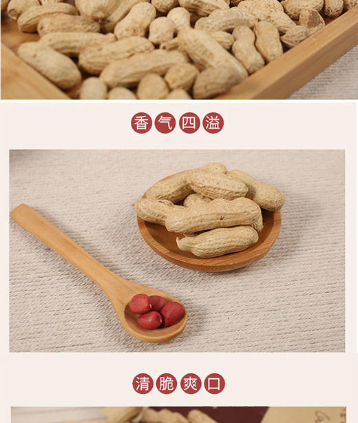 鑫勇泰  优选红皮花生（带壳）  1.5KG 商品图4