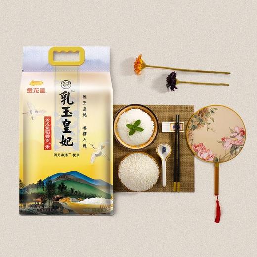 金龙鱼乳玉皇妃稻香贡米5KG 商品图3
