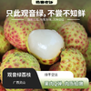 【预售】观音绿荔枝丨 在荔枝的万千世界里，观音绿荔枝宛如一颗散发着独特魅力的绿宝石，青中透绿，果肉Q弹多汁，浓郁的桂花蜜香⭐️ 顺丰特快 商品缩略图0