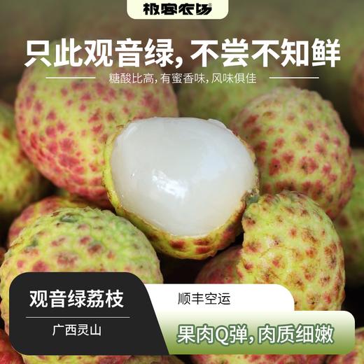 【预售】观音绿荔枝丨 在荔枝的万千世界里，观音绿荔枝宛如一颗散发着独特魅力的绿宝石，青中透绿，果肉Q弹多汁，浓郁的桂花蜜香⭐️ 顺丰特快 商品图0