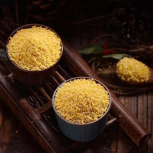 静宁县占斌黄谷米500g*2袋 商品图1