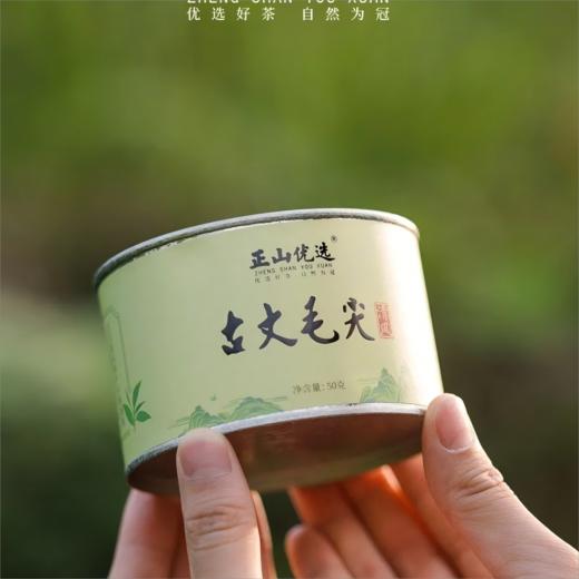 正山优选·古丈毛尖50g【臻选好茶】 商品图1