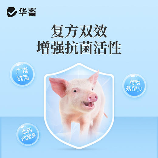 华畜兽药 复方磺胺氯达嗪钠粉 兽用猪鸡球虫药便血弓形体三字球虫粉 商品图2