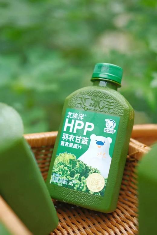 夏季福利团直发8瓶再赠一瓶桑葚汁，到手63.9，北冰洋NFC桑葚汁北冰洋HPP羽衣甘蓝复合果蔬汁 比NFC果汁多保留30%的维C基地直邮 商品图2