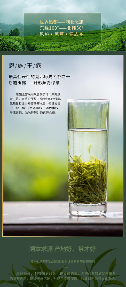 羽露 恩施玉露罐装（特级）绿茶硒茶  40G 商品图2