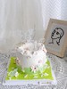 裱花蛋糕春日来信 商品缩略图2