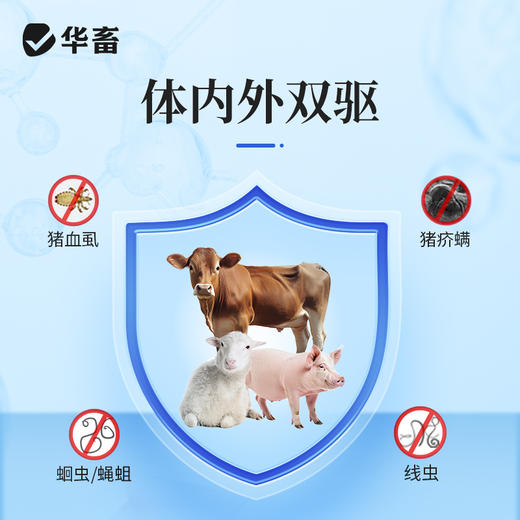 华畜兽药伊维菌素注射液猪牛羊内外驱虫药螨虫线虫蛔虫抗寄生虫药 商品图2