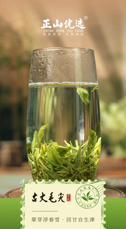 正山优选·古丈毛尖50g【臻选好茶】 商品图3