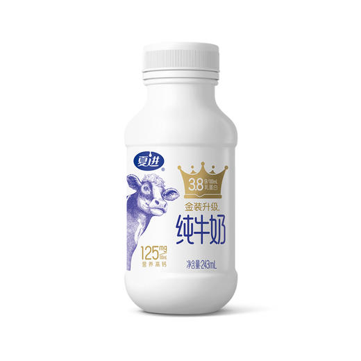 夏进瓶装金装纯牛奶（蛋白 3.8g）243ml×15瓶 商品图4
