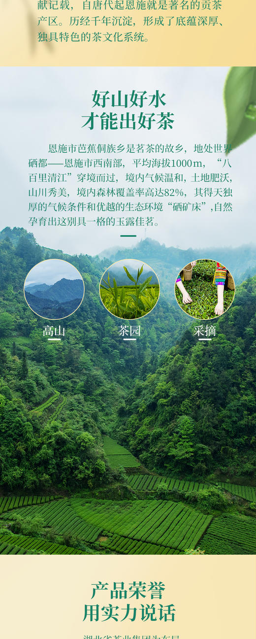 羽露 恩施玉露问水一级绿茶硒茶  4g*30袋 商品图4