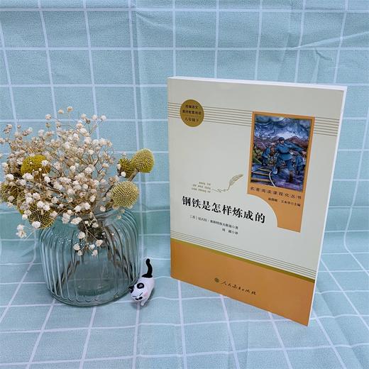 七年级下册课外名著阅读 正版保证 钢铁是怎样炼成的 人教版 商品图1