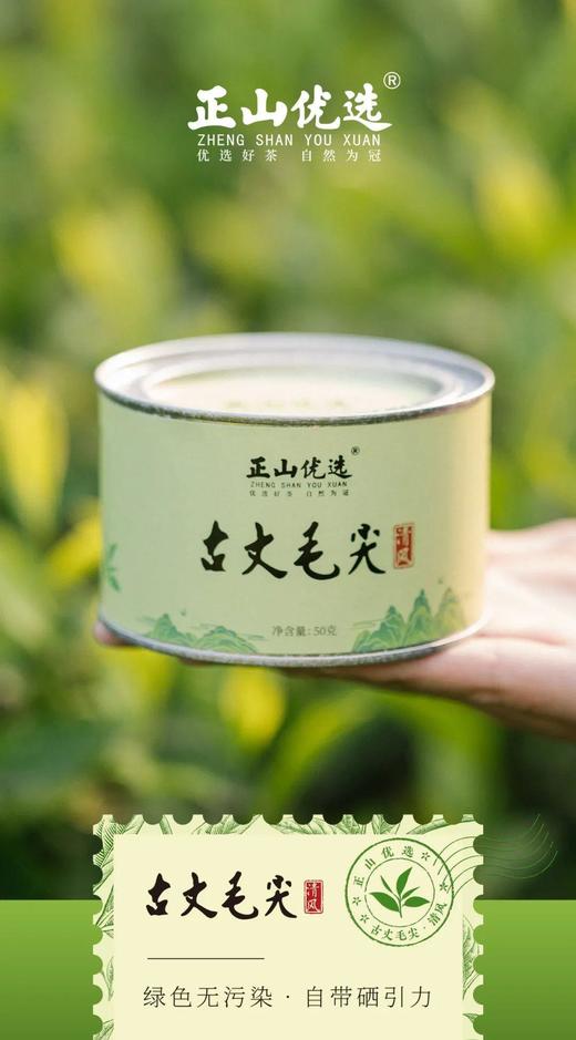 正山优选·古丈毛尖50g【臻选好茶】 商品图5