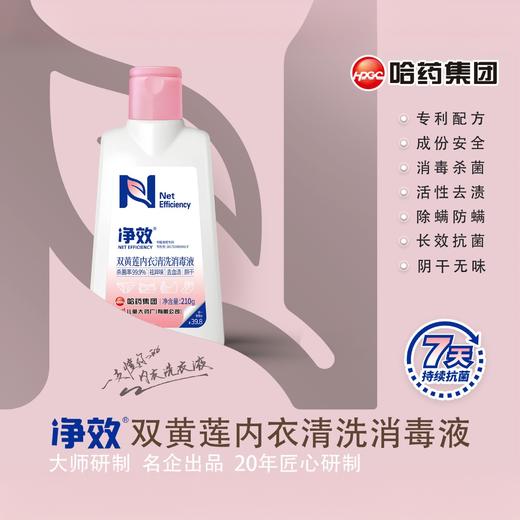 净效双黄莲内衣清洗消毒液210g/瓶 商品图1