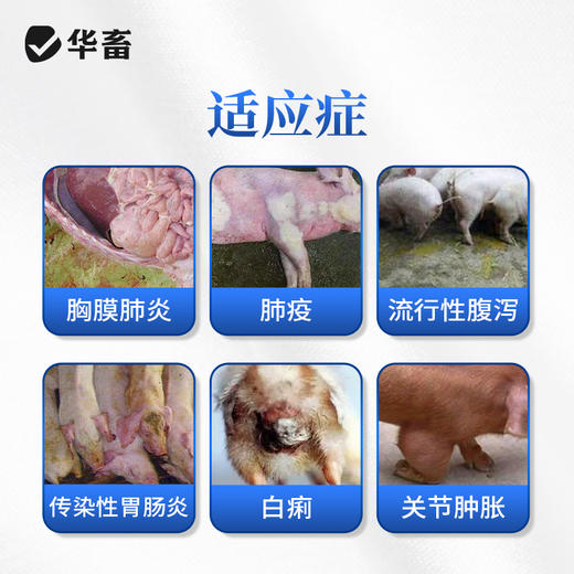 华畜兽用 10%盐酸多西环素可溶性粉 溶解度更高 吸收效果更好 鸭鹅鸡猪呼吸道 商品图3