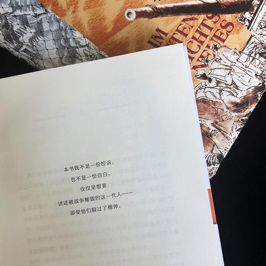 西线无战事（插图珍藏版） 战争亲历者雷马克的经典反战小说 商品图2