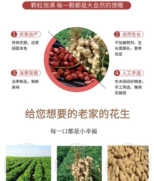 鑫勇泰  优选红皮花生（带壳）  1.5KG 商品图3