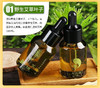 贡艾堂  蕲艾开穴精油  30ML 商品缩略图5