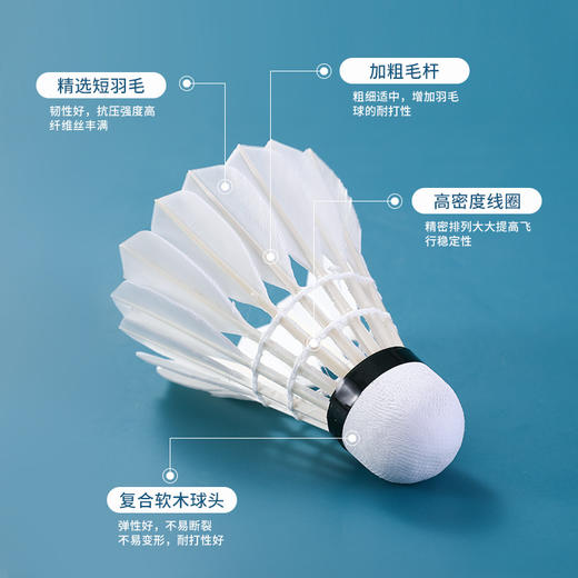 361度羽毛球稳定鹅毛耐打不烂专业户外室内训练软木球头比赛专用 商品图3