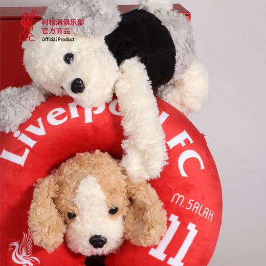 【官方正版】利物浦俱乐部 | 黄白毛绒抱抱狗可爱玩偶球员款 商品图3