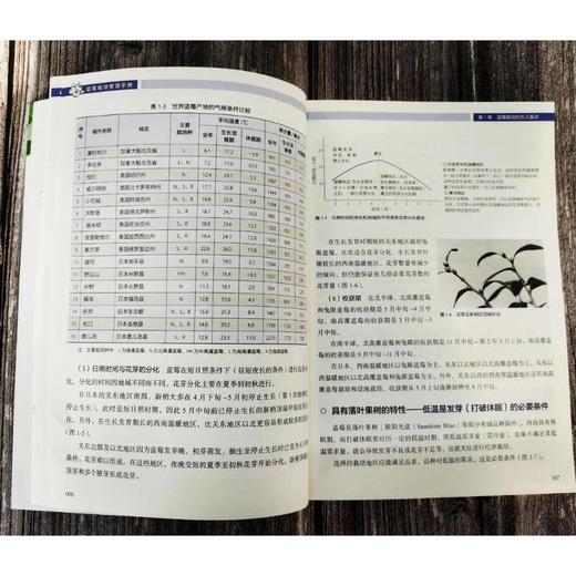 官网 蓝莓栽培管理手册 石川骏二 蓝莓育苗技术栽培管理选种技巧 蓝莓种植教程书籍 商品图2