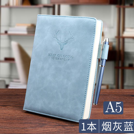2本装【A5加厚笔记本】超厚商务记事本工作精美高档日记本 髙颜值简约笔记本 商品图11