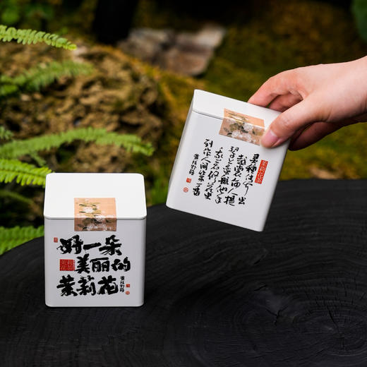 画框雅集【茉莉花茶 两小方罐】31元一套/一件24套 商品图3
