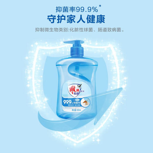 雕牌 海盐洗手液500ml清香家用便携健康护手 500ml*2瓶 商品图3