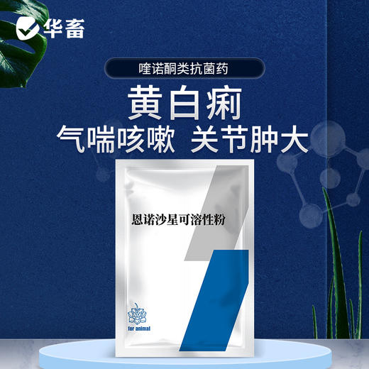 华畜10%恩诺沙星可溶性粉 黄白痢 支原体感染 进口溶剂 吸收更好猪牛禽水产通用 商品图0