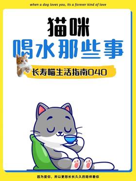 猫咪喝水大揭秘：健康饮水攻略